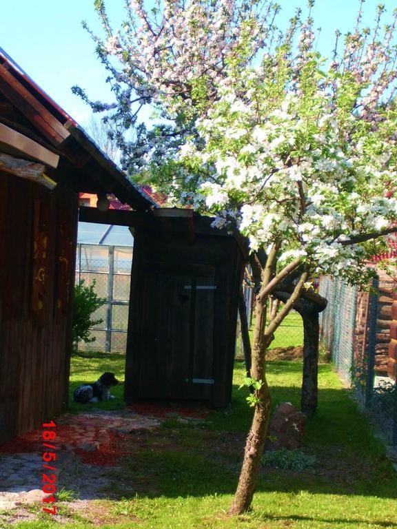 Sedliacka Drevenica Villa Oszada Kültér fotó